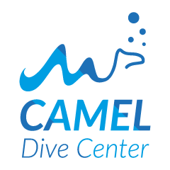 Camel Dive Center